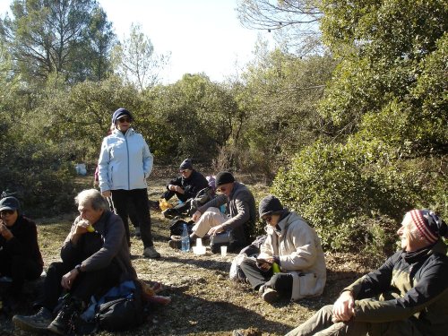 Cliquer pour voir l'image en taille réelle