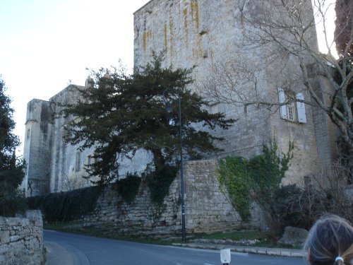 Cliquer pour voir l'image en taille réelle