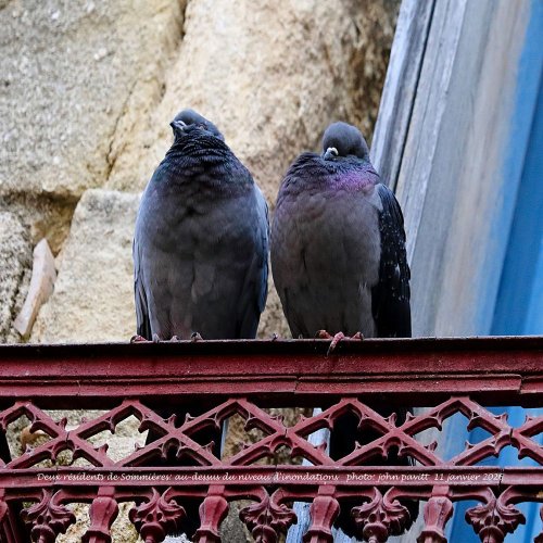 Cliquer pour voir l'image en taille réelle