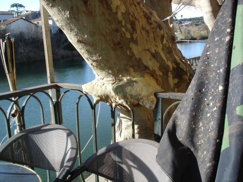 Cliquer pour voir l'image en taille réelle