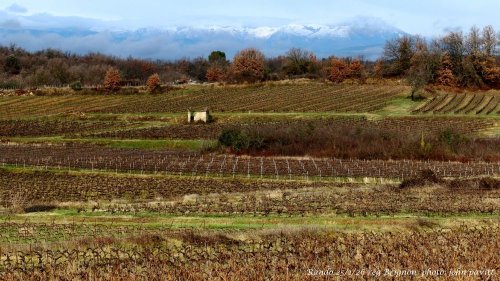 Cliquer pour voir l'image en taille réelle