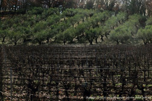 Cliquer pour voir l'image en taille réelle