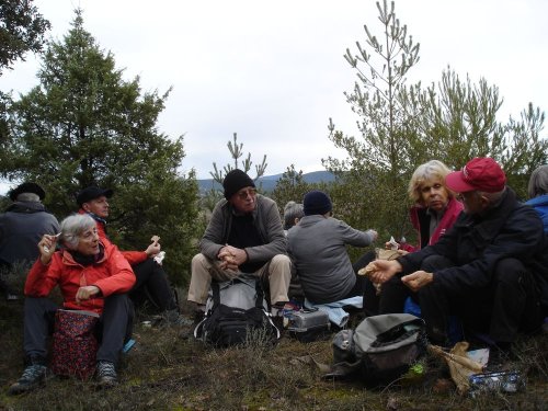 Cliquer pour voir l'image en taille réelle