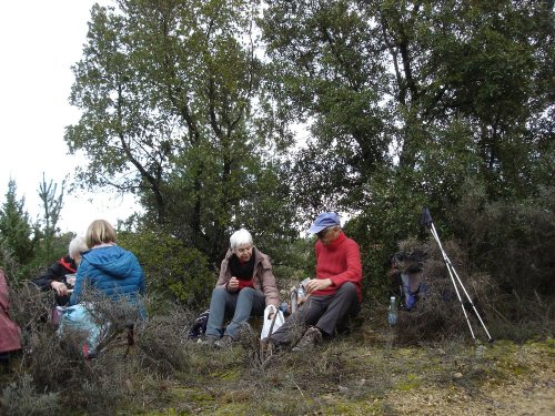 Cliquer pour voir l'image en taille réelle
