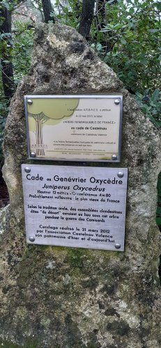 Cliquer pour voir l'image en taille réelle