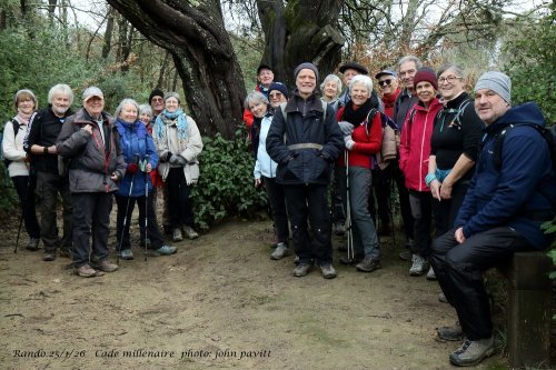 Cliquer pour voir l'image en taille réelle