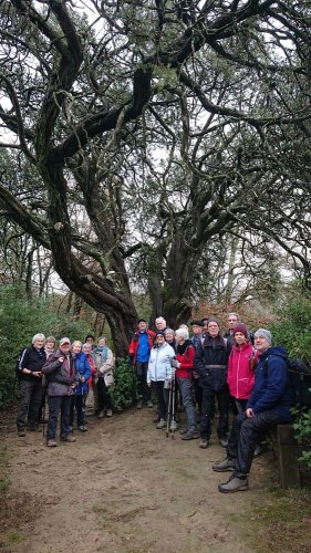 Cliquer pour voir l'image en taille réelle