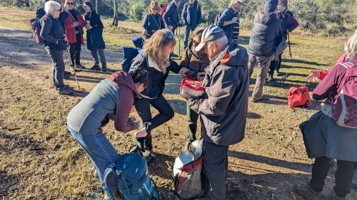 Cliquer pour voir l'image en taille réelle