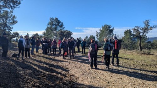 Cliquer pour voir l'image en taille réelle