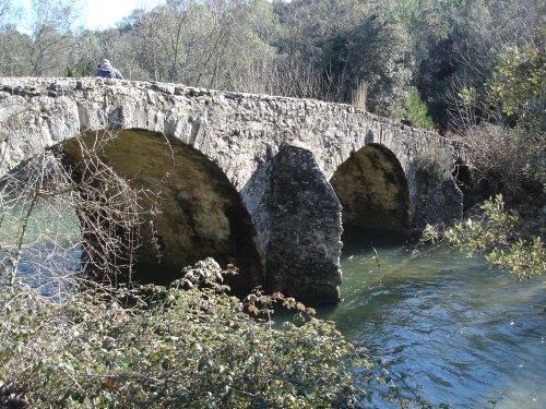 Cliquer pour voir l'image en taille réelle