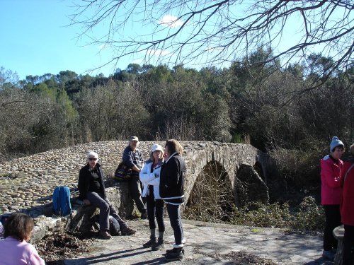 Cliquer pour voir l'image en taille réelle