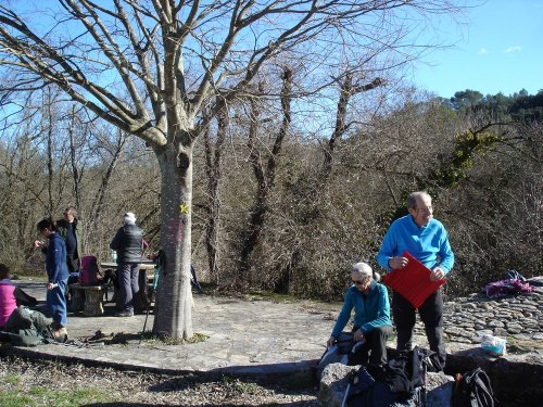 Cliquer pour voir l'image en taille réelle