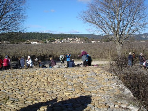 Cliquer pour voir l'image en taille réelle