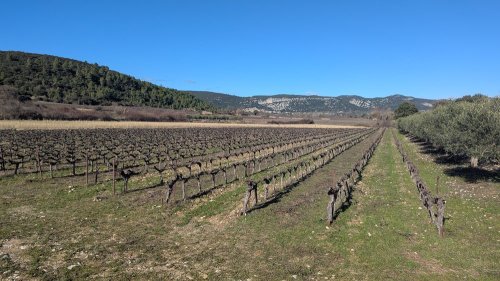 Cliquer pour voir l'image en taille réelle