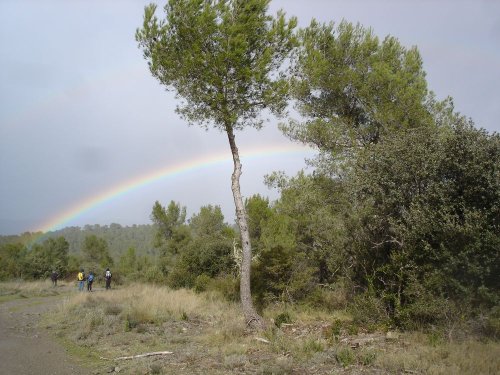 Cliquer pour voir l'image en taille réelle