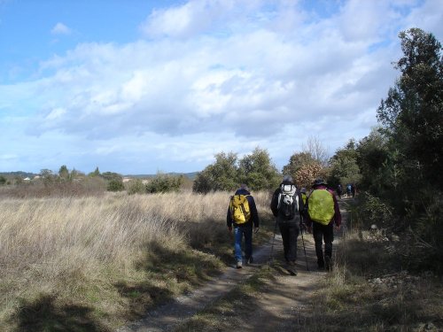 Cliquer pour voir l'image en taille réelle