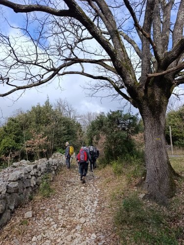 Cliquer pour voir l'image en taille réelle