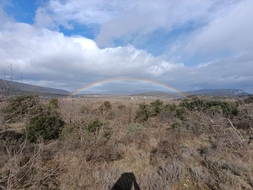 Cliquer pour voir l'image en taille réelle