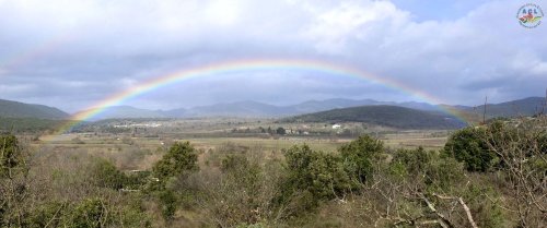 Cliquer pour voir l'image en taille réelle