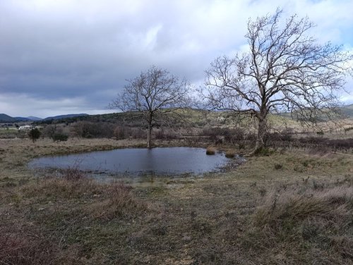 Cliquer pour voir l'image en taille réelle