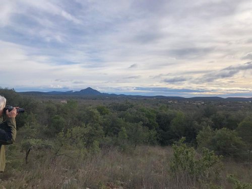 Cliquer pour voir l'image en taille réelle