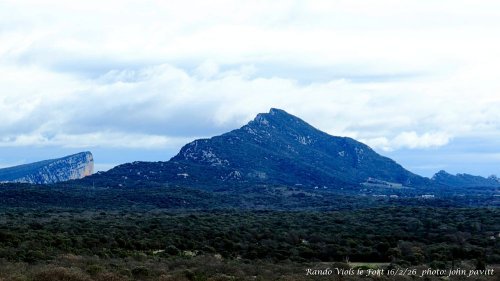 Cliquer pour voir l'image en taille réelle
