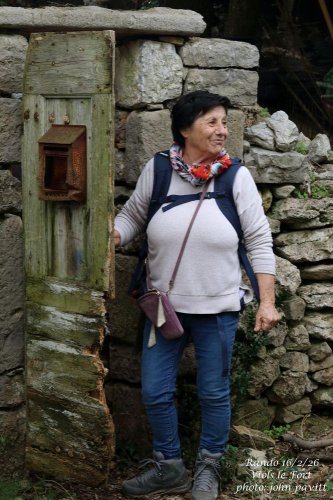 Cliquer pour voir l'image en taille réelle