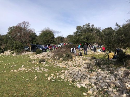 Cliquer pour voir l'image en taille réelle