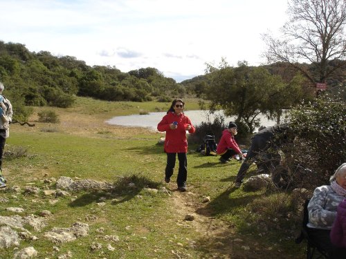 Cliquer pour voir l'image en taille réelle