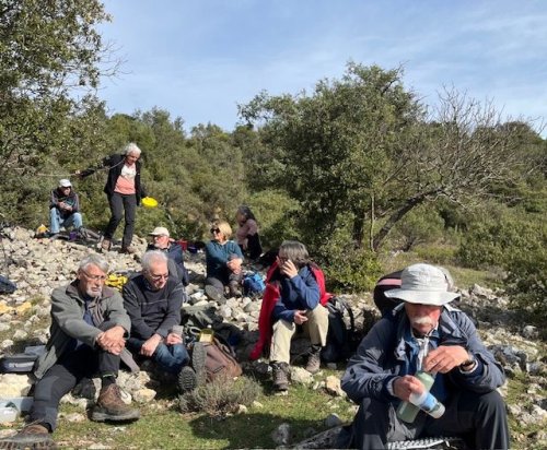 Cliquer pour voir l'image en taille réelle