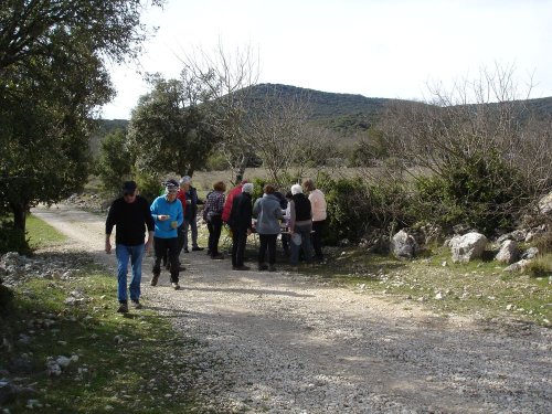 Cliquer pour voir l'image en taille réelle