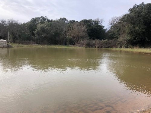 Cliquer pour voir l'image en taille réelle