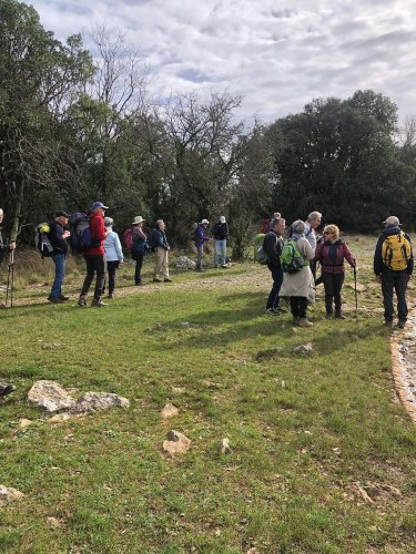 Cliquer pour voir l'image en taille réelle