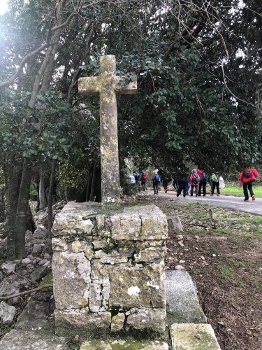 Cliquer pour voir l'image en taille réelle