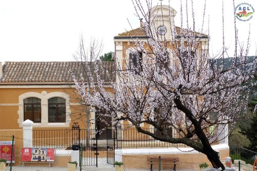 Cliquer pour voir l'image en taille réelle