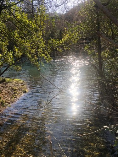 Cliquer pour voir l'image en taille réelle