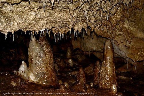 Cliquer pour voir l'image en taille réelle