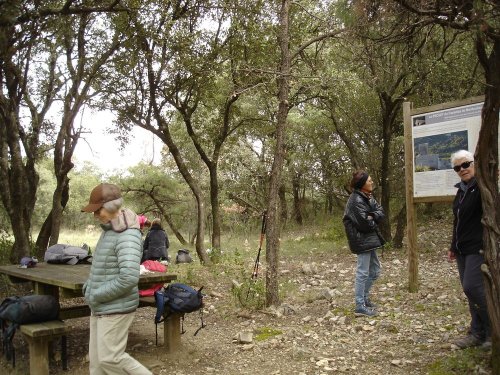 Cliquer pour voir l'image en taille réelle