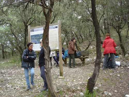 Cliquer pour voir l'image en taille réelle