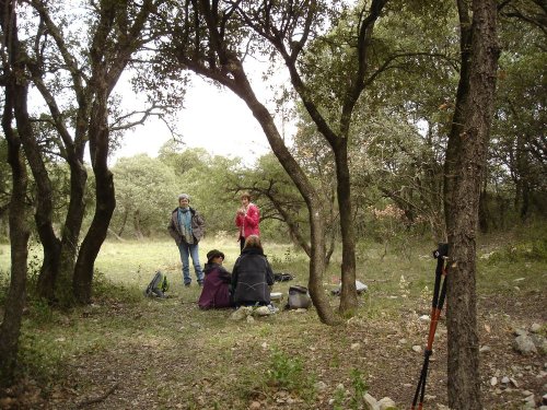 Cliquer pour voir l'image en taille réelle