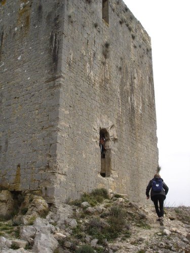 Cliquer pour voir l'image en taille réelle