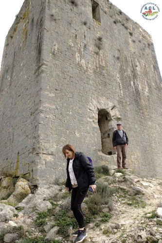 Cliquer pour voir l'image en taille réelle