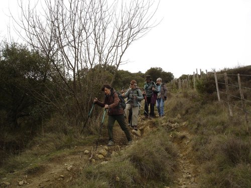 Cliquer pour voir l'image en taille réelle