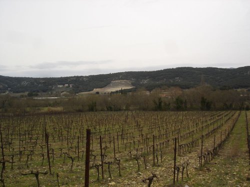 Cliquer pour voir l'image en taille réelle