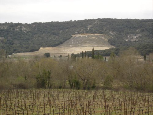 Cliquer pour voir l'image en taille réelle