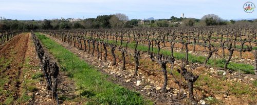 Cliquer pour voir l'image en taille réelle