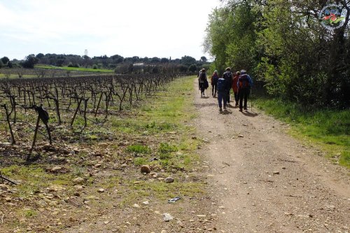 Cliquer pour voir l'image en taille réelle