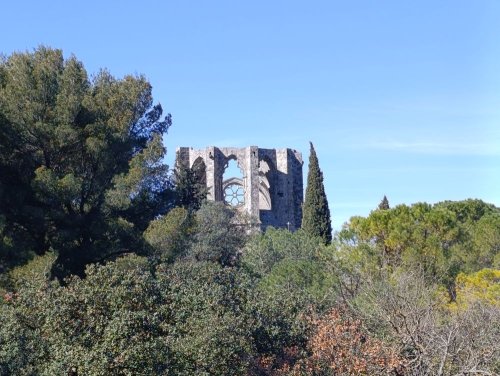 Cliquer pour voir l'image en taille réelle