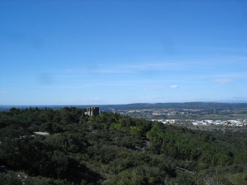 Cliquer pour voir l'image en taille réelle