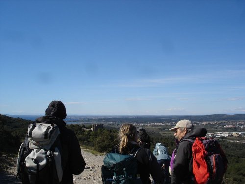 Cliquer pour voir l'image en taille réelle